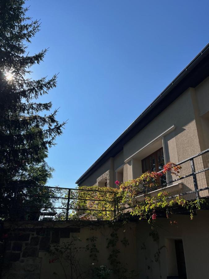 Vila Bellevue Jablonec nad Nisou Buitenkant foto